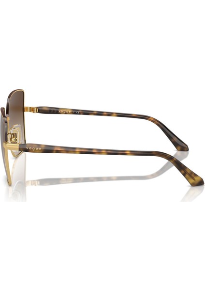 4199S 507813 58 Kadın Güneş Gözlüğü Kadın Güneş Gözlüğü