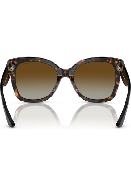 VO5338S W656T5 54 Kadın Güneş Gözlüğü fırsatları