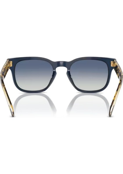 5571S 31434L 53 Erkek Güneş Gözlüğü Erkek Güneş Gözlüğü modelleri