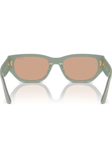 5586-S 3161/3 53-0 Güneş Gözlüğü modelleri