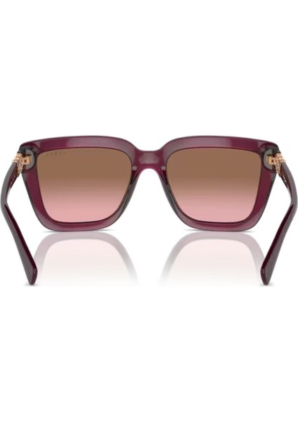 5575SB 298914 55 Kadın Güneş Gözlüğü Kadın Güneş Gözlüğü modelleri