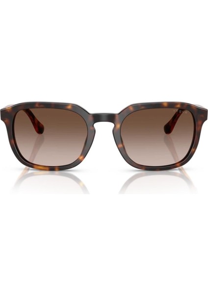 VO5595SI W65613 53 Unisex Güneş Gözlüğü fiyatları