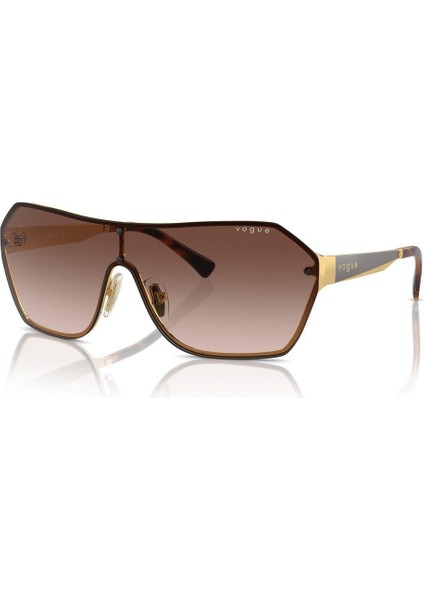 4302S 280/13 41 Kadın Güneş Gözlüğü Kadın Güneş Gözlüğü