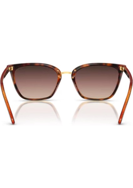 VO5597SI W656E2 53 Kadın Güneş Gözlüğü fiyatları