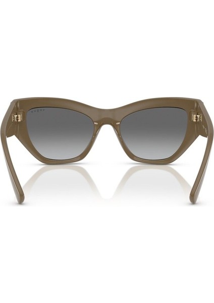 Güneş Gözlüğü 5607 317511 53 indirimleri