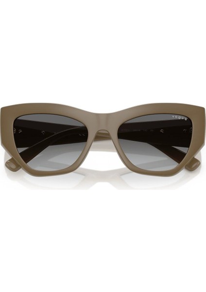 Güneş Gözlüğü 5607 317511 53