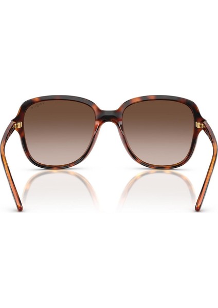 VO5601S W65613 53 Kadın Güneş Gözlüğü indirimleri