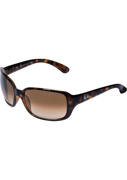 0RB4068-710/5160 Kadın Güneş Gözlüğü