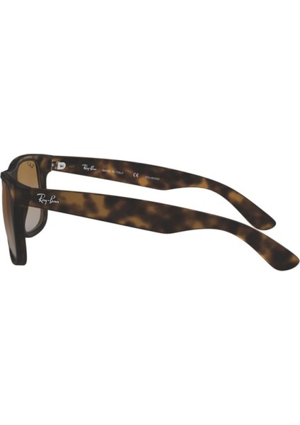 Rb4165 865/T5 54 Polarize Unisex Güneş Gözlüğü fiyatları