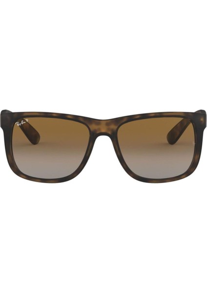 Rb4165 865/T5 54 Polarize Unisex Güneş Gözlüğü modelleri