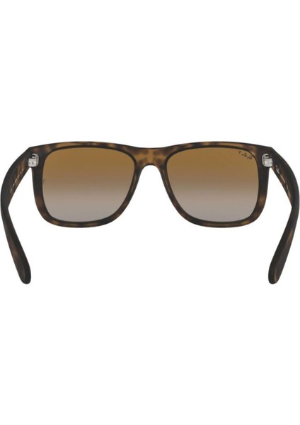 Rb4165 865/T5 54 Polarize Unisex Güneş Gözlüğü fırsatları