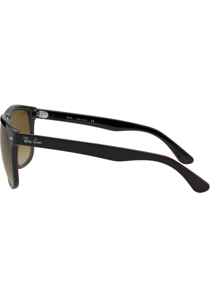 RB4147 609585 60 Unisex Güneş Gözlüğü