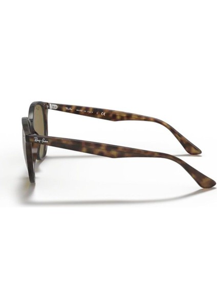 4305 710/73 53 Ekartman Kadın Güneş Gözlüğü fiyatları