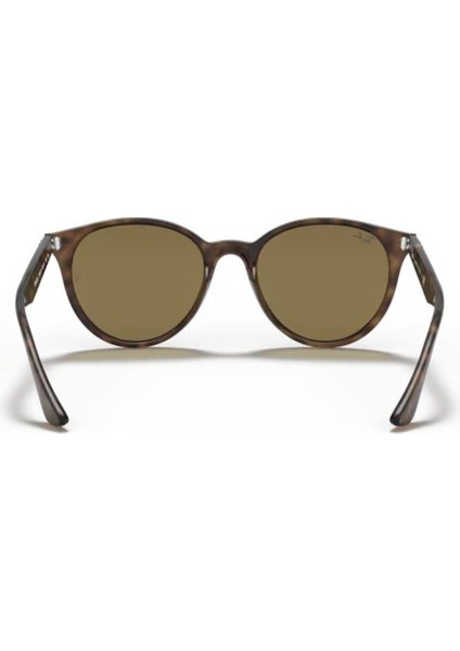 4305 710/73 53 Ekartman Kadın Güneş Gözlüğü modelleri