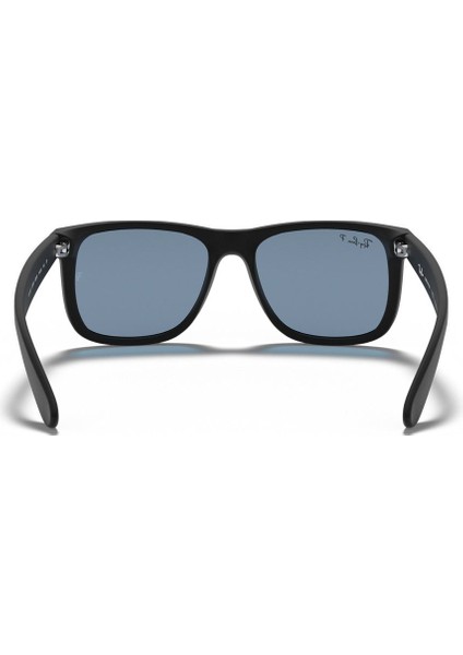 RAYBAN 4165 6222V 55 modelleri