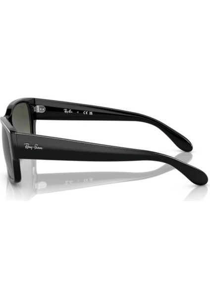 4388 601/71 55 Erkek Güneş Gözlüğü modelleri