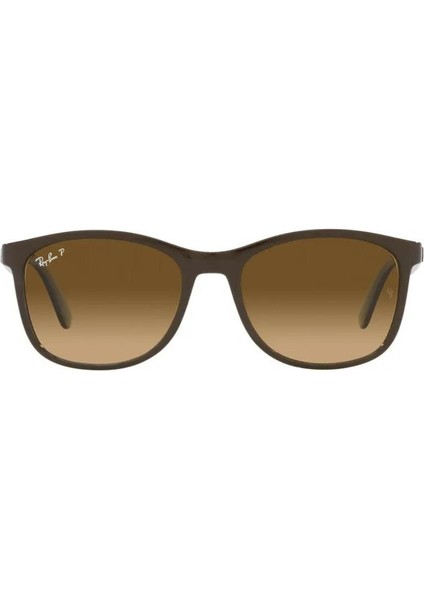 4374 6600M2 56 Kadın Güneş Gözlüğü fiyatları