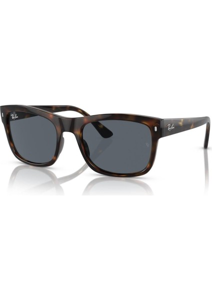 0RB4428 56 710/R5 Unisex Güneş Gözlüğü