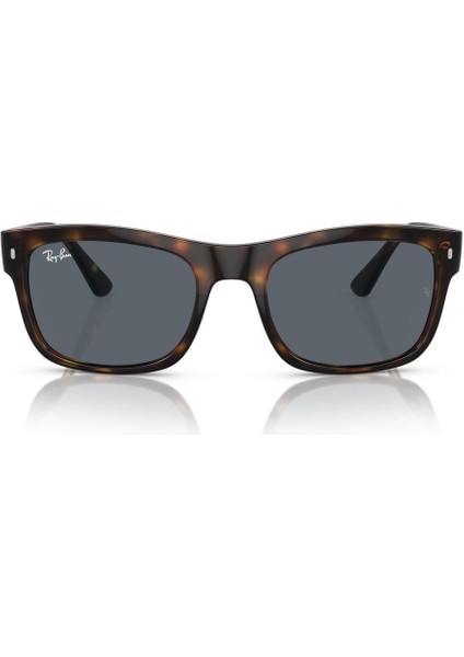 0RB4428 56 710/R5 Unisex Güneş Gözlüğü indirimleri