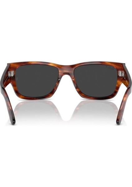 RB0947S 954/48 Carlos Polarize Erkek Güneş Gözlüğü modelleri