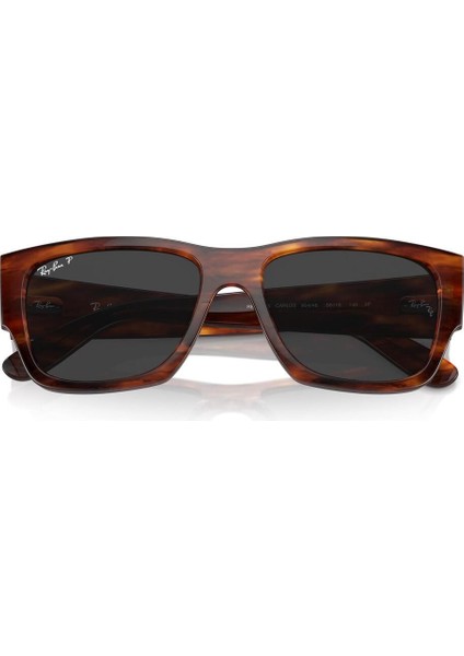 RB0947S 954/48 Carlos Polarize Erkek Güneş Gözlüğü