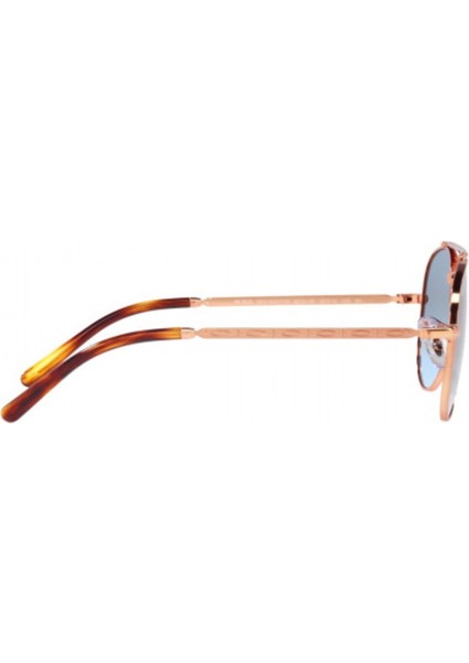 3625 92023F 58 Erkek Güneş Gözlüğü fırsatları