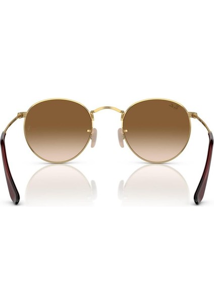 3447 001/51 53 Kadın Güneş Gözlüğü modelleri