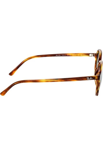 RB2195 954/62 53 Unisex Güneş Gözlüğü modelleri