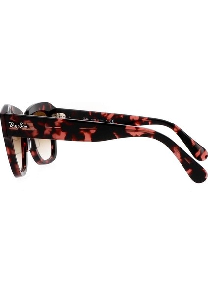 RB2186 133451 52 Kadın Güneş Gözlüğü modelleri
