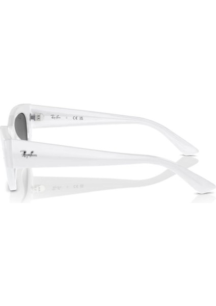 4430 675911 52 Kadın Güneş Gözlüğü Kadın Güneş Gözlüğü fiyatları