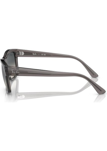 Rayban 0RB4428 667571 56 Unisex Güneş Gözlüğü fiyatları