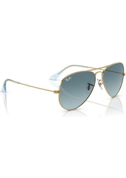 3025 001/3M 55 Kadın Güneş Gözlüğü fırsatları