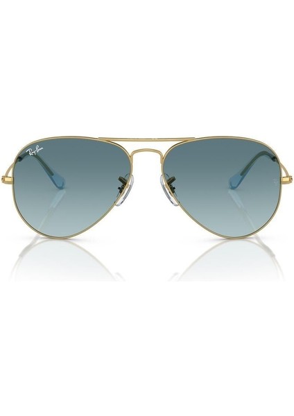 3025 001/3M 55 Kadın Güneş Gözlüğü indirimleri