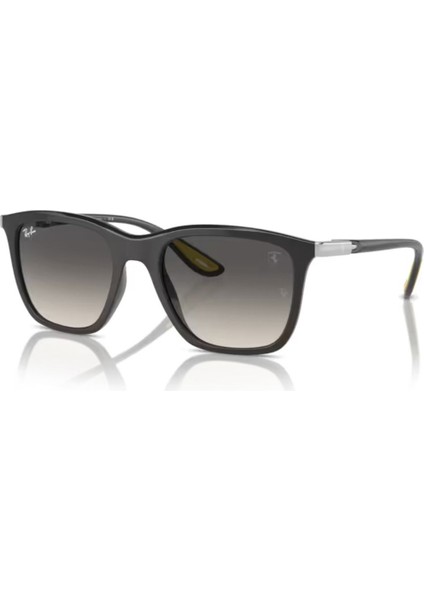 4433M F62411 54 Unisex Güneş Gözlüğü Unisex Güneş Gözlüğü