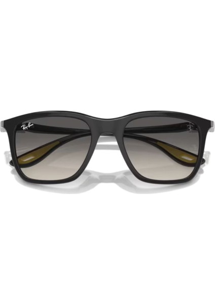 4433M F62411 54 Unisex Güneş Gözlüğü Unisex Güneş Gözlüğü