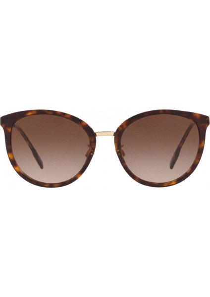 Güneş Gözlüğü BE4289D 56 300213 fiyatları