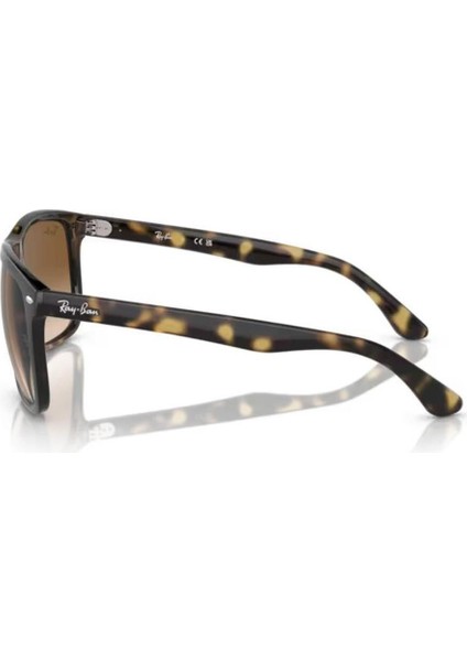 0RB4547 710/51 57 Kadın Güneş Gözlüğü fiyatları