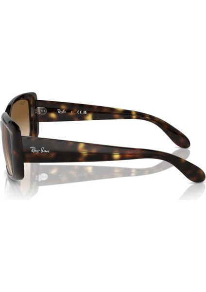 Kadın Ray-Ban Yastık Tam Çerçeve 58*17*135 Güneş Gözlüğü fiyatları