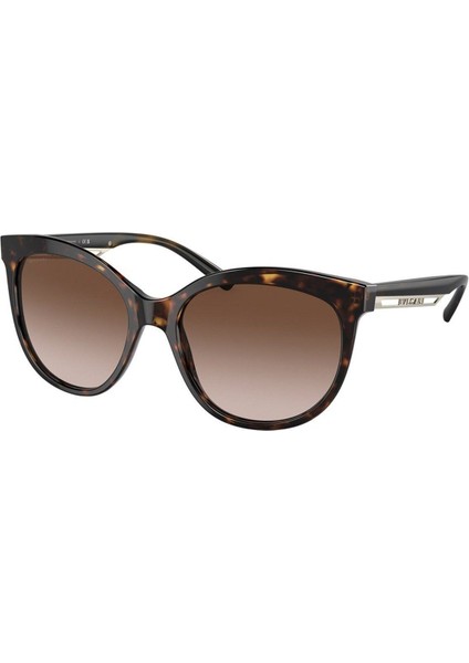 Bv 8249 56 504/13 Kadın Güneş Gözlüğü