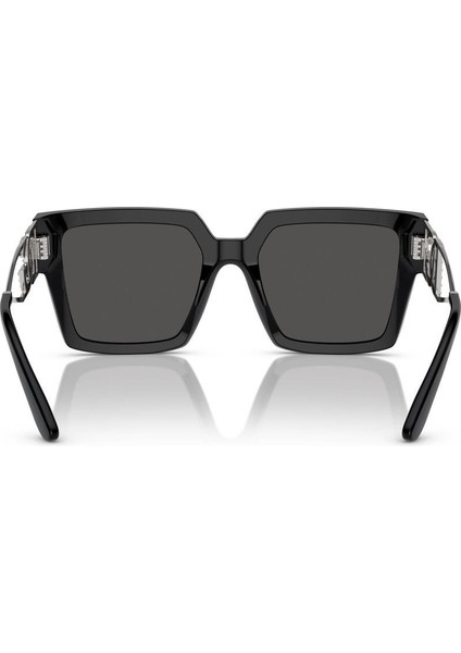 Dg 4446B 501/87 53 Kadın Güneş Gözlüğü fırsatları