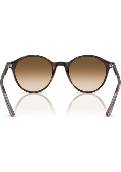 RB2230 902/51 51 Unisex Güneş Gözlüğü fiyatları