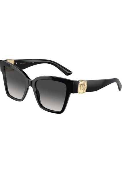 Dolce Gabbana Güneş Gözlüğü DG4470 501/8G
