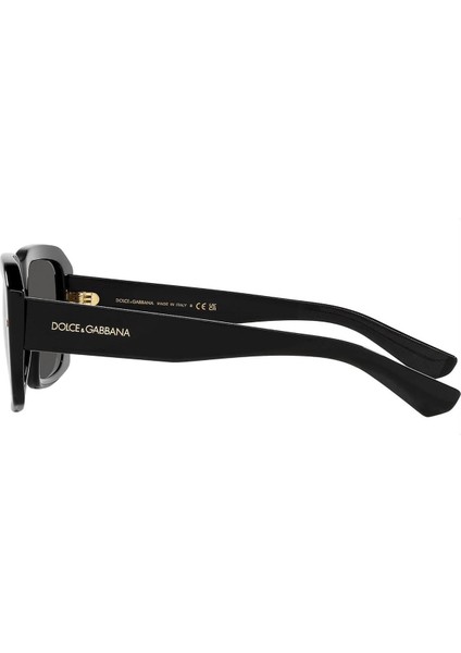 DG/S 4430 501/87 54 Unisex Güneş Gözlüğü modelleri