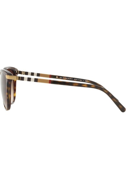 4216-57 300213 Kadın Güneş Gözlüğü fiyatları