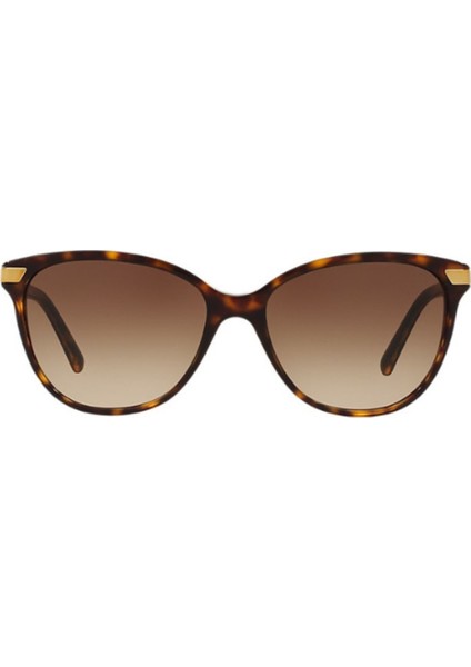 4216-57 300213 Kadın Güneş Gözlüğü modelleri