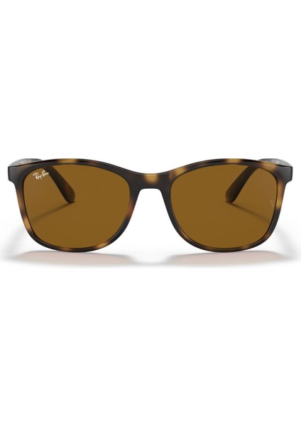 4374 710/33 56 Erkek Güneş Gözlüğü indirimleri