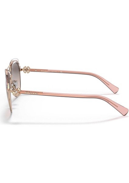 6164B 20143B Kadın Güneş Gözlüğü fiyatları