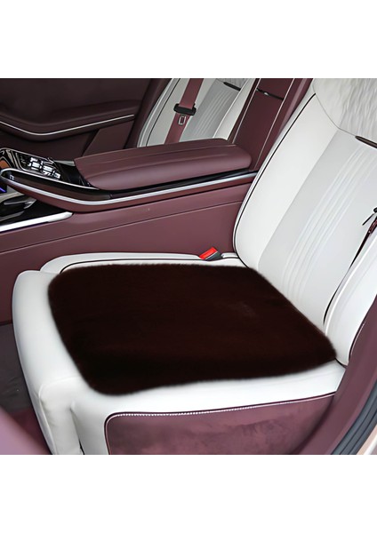 Rahat ve Sıcak Kış Araba Koltuğu Minderleri - Sürüş Konforu Için Peluş ve Soğuk Hava Koruması (Yurt Dışından) fırsatları