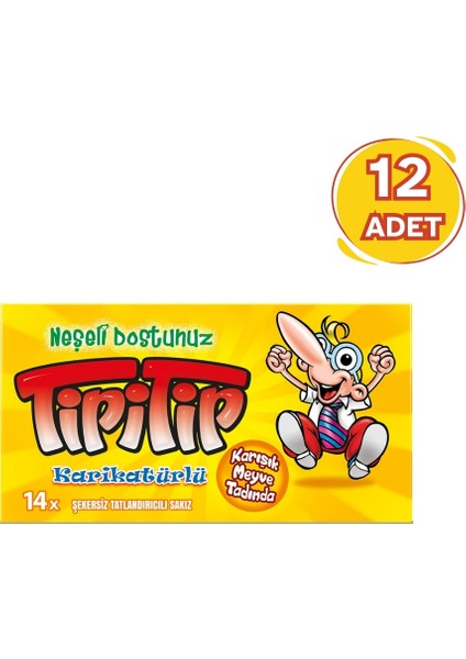 Karışık Meyve Aromalı Sakız 27 gr - 12 Adet