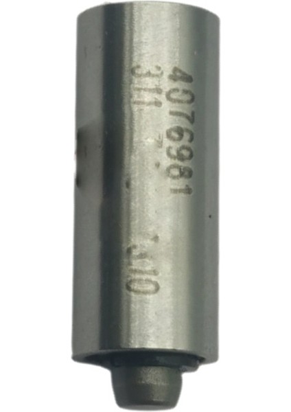 Çek Valf 4076981 M11 Serisi Motorlar Için (Yurt Dışından)